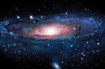 premio cosmos