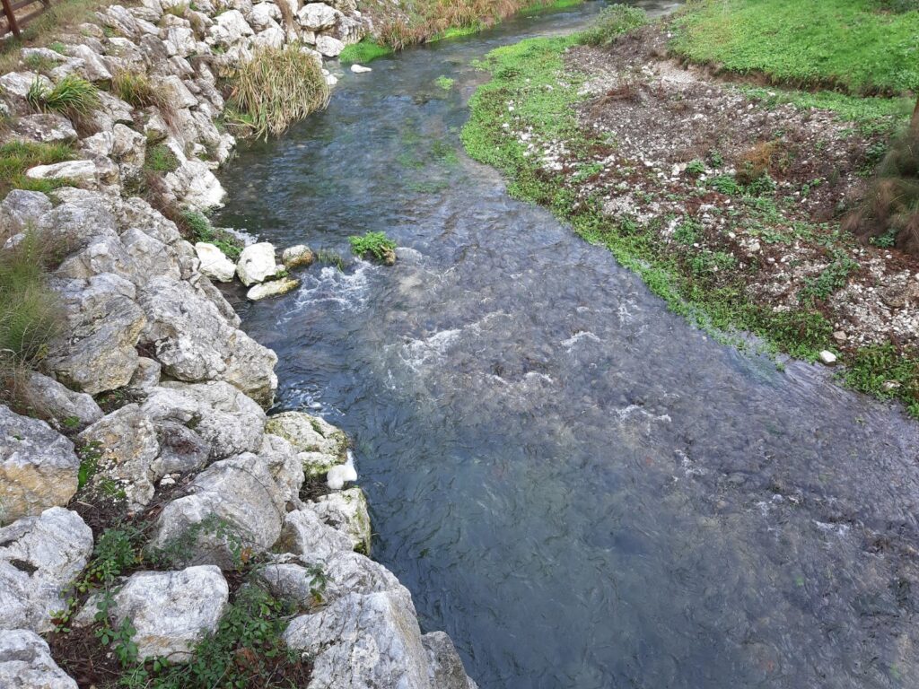 fiume nera