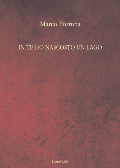 marco fortuna in te ho nascosto un lago copertinapiatta