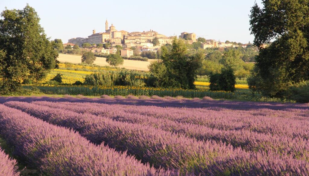 val mivola corinaldo lavanda 1