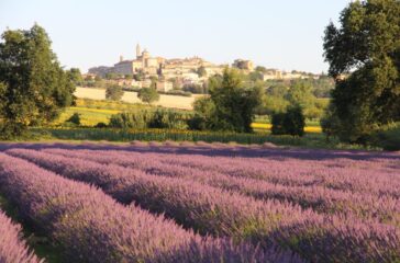 val mivola corinaldo lavanda 1