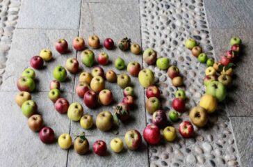 slowfood 2002