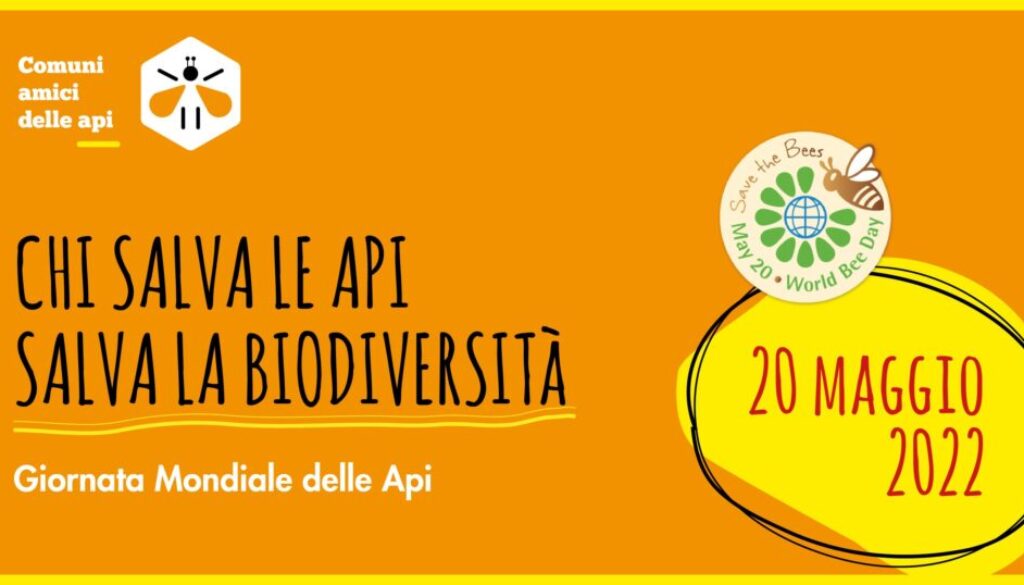api