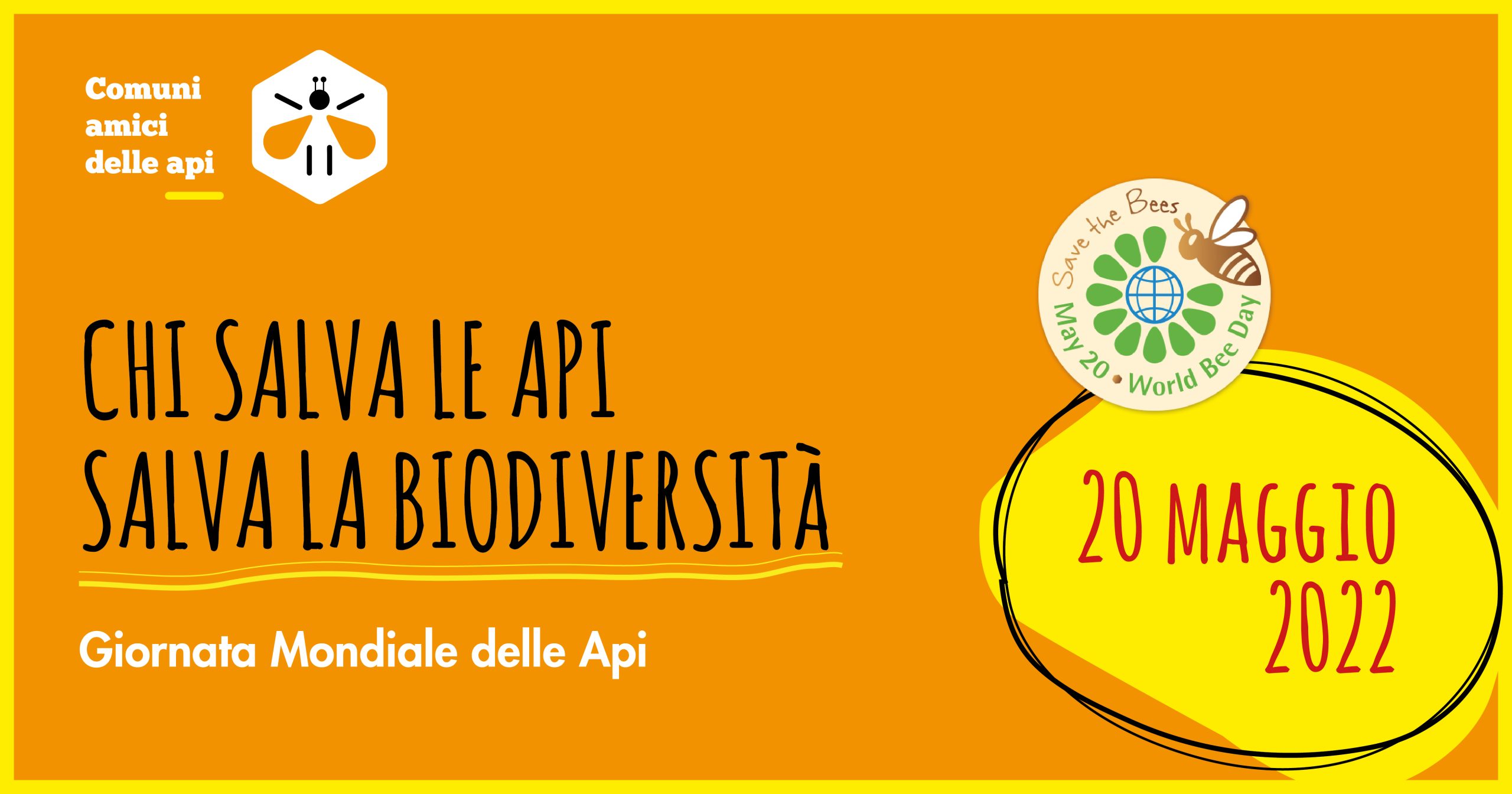 api