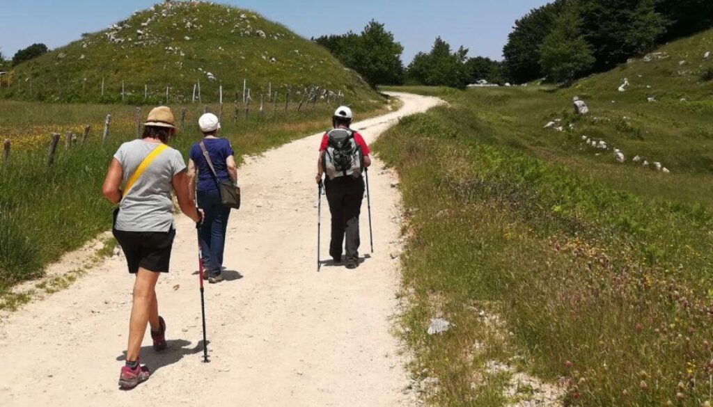 via francigena regione lazio