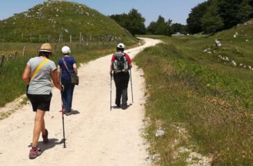 via francigena regione lazio
