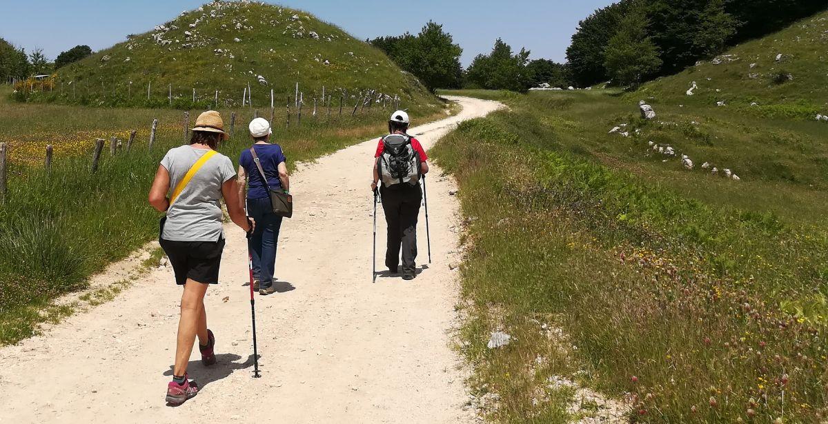 via francigena regione lazio
