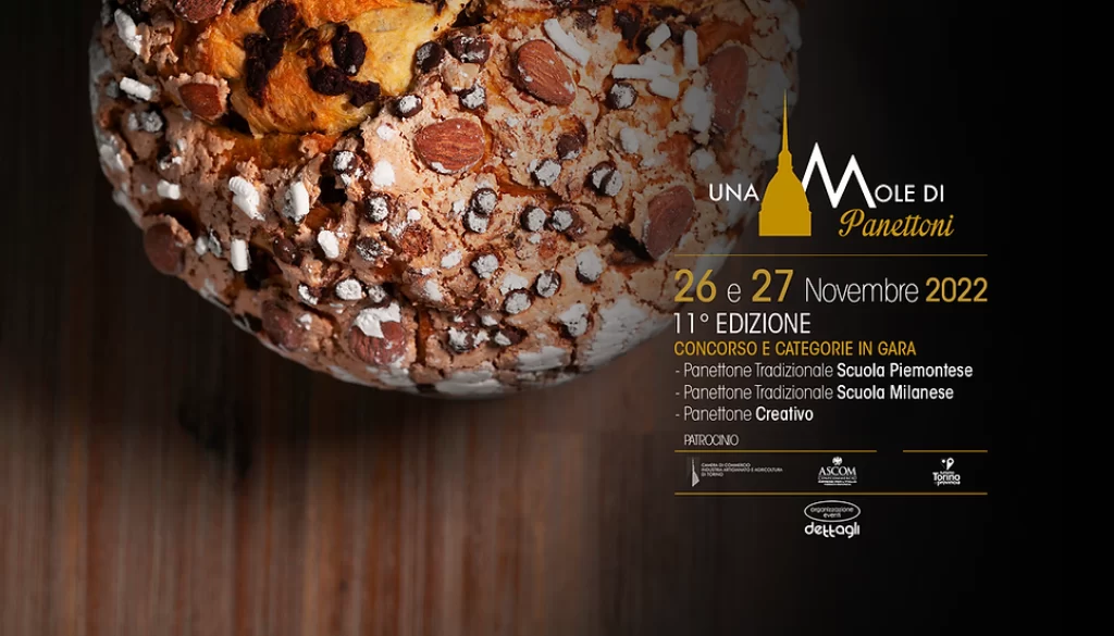 una mole di panettoni nov 22