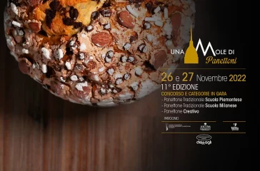 una mole di panettoni nov 22