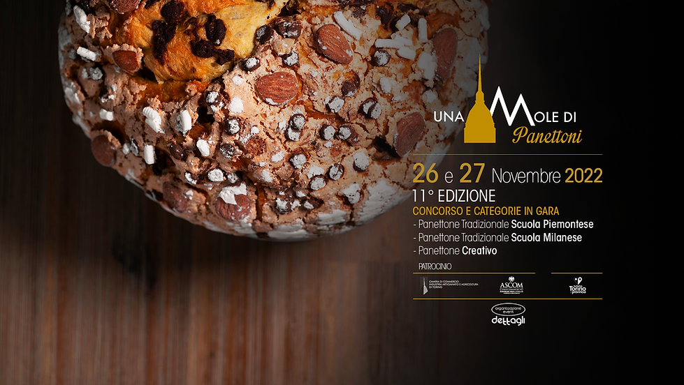 una mole di panettoni nov 22