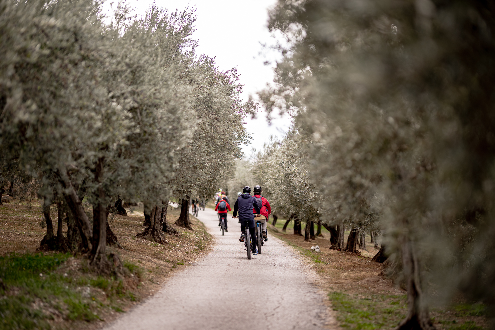 frantoi aperti bici 1