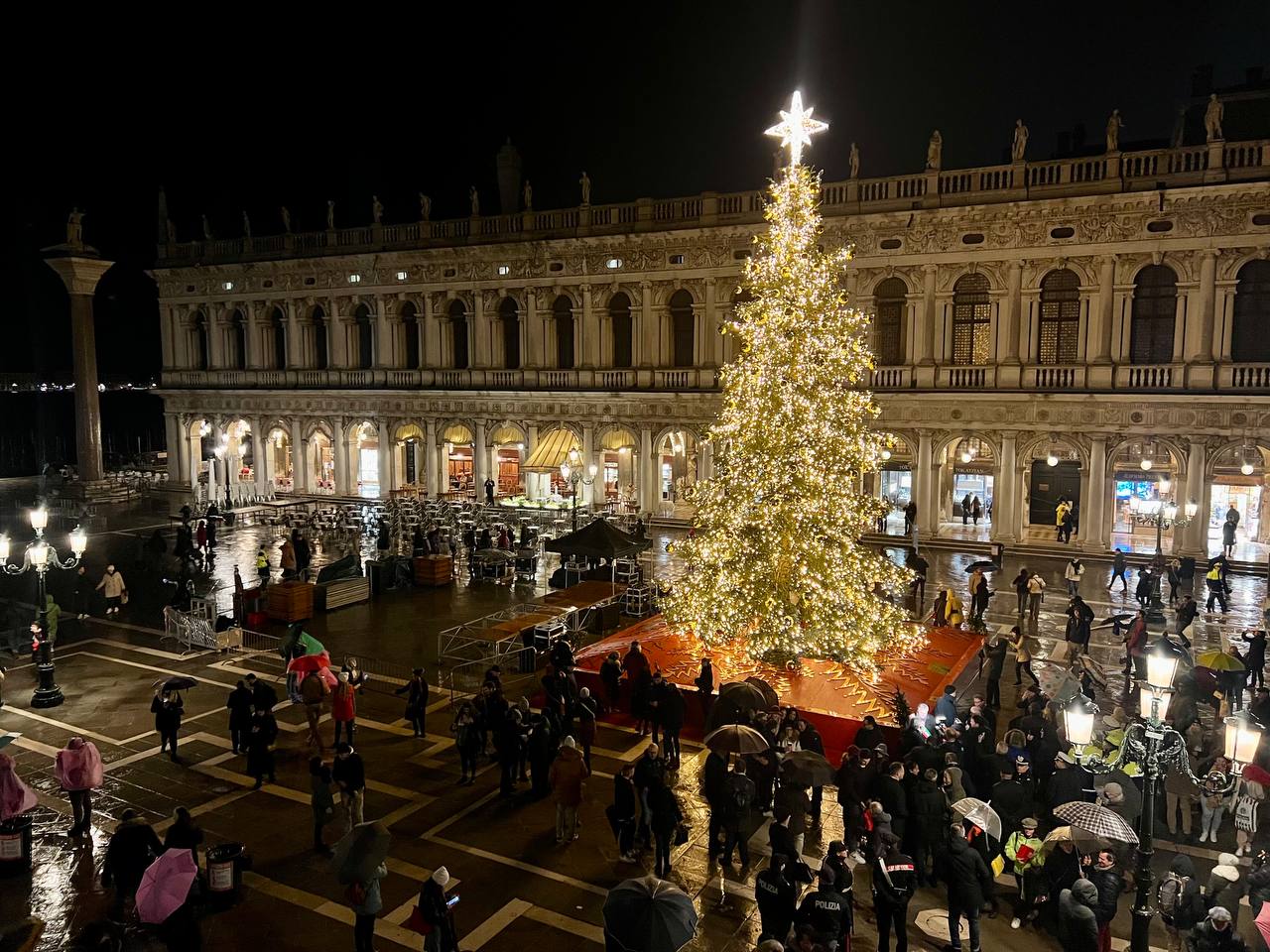 venezia albero san marco 2