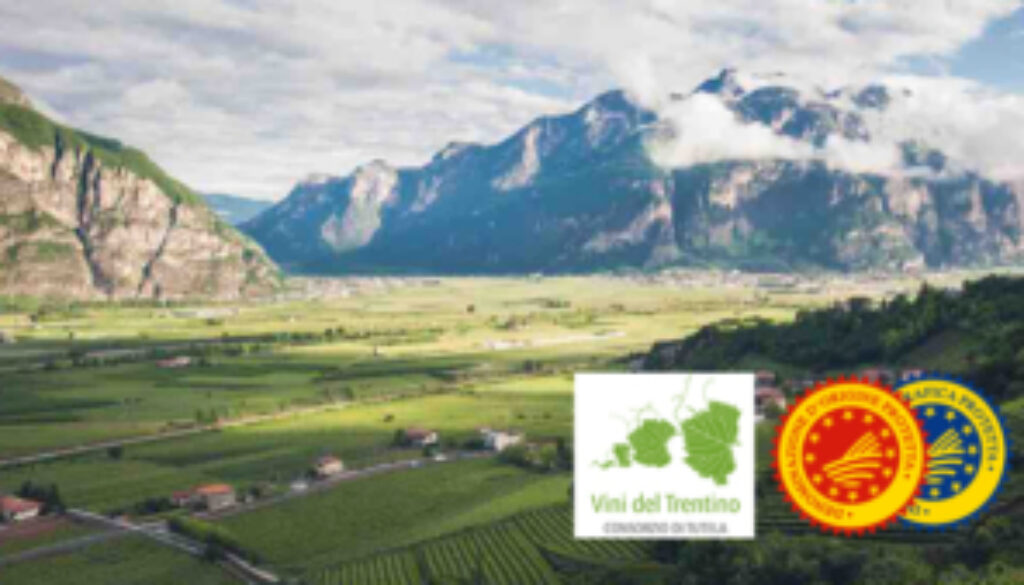 vinideltrentino 2022