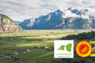 vinideltrentino 2022