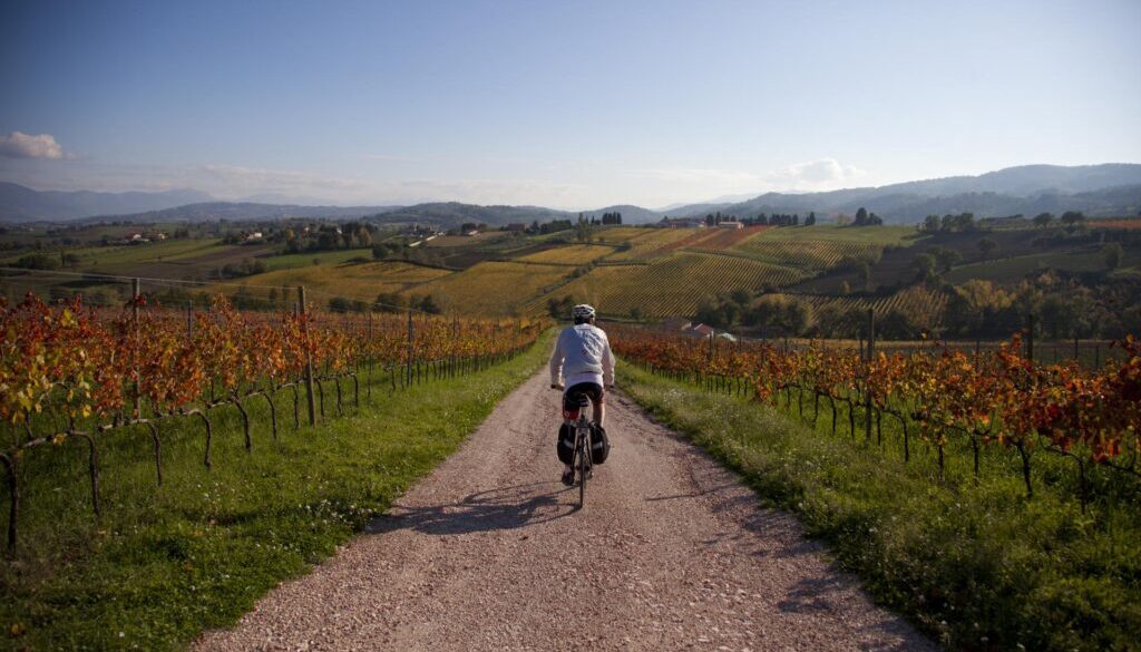 bike umbria 1