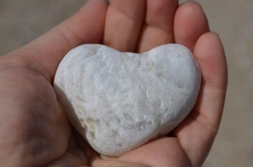 heart 1908901 1920