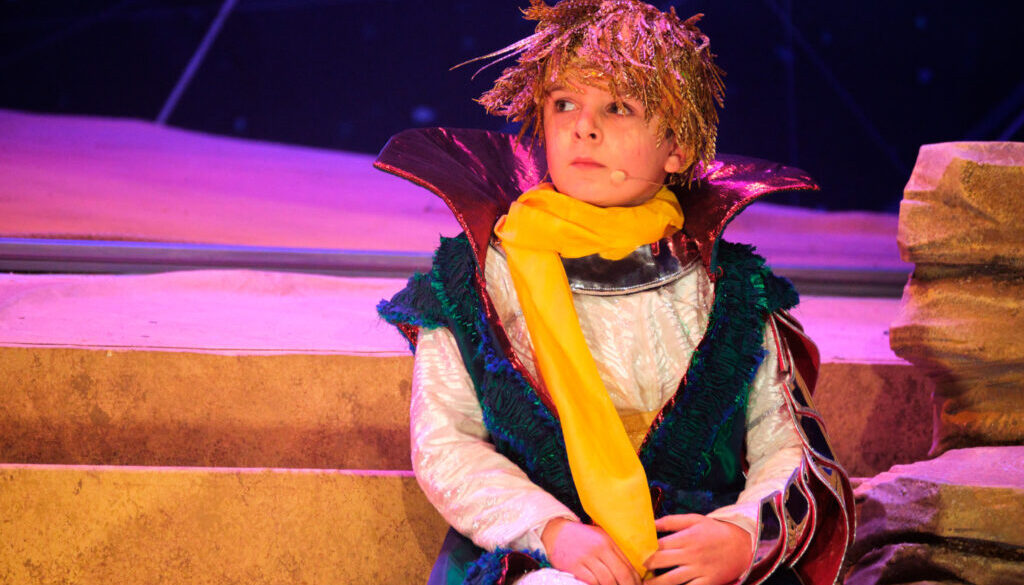 il piccolo principe principe (gabriele tonti) foto roar studio pic