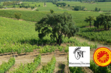 consorziovinimaremmatoscana 23