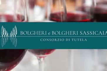 Il Tribunale dell’Unione Europea da ragione al Consorzio Bolgheri