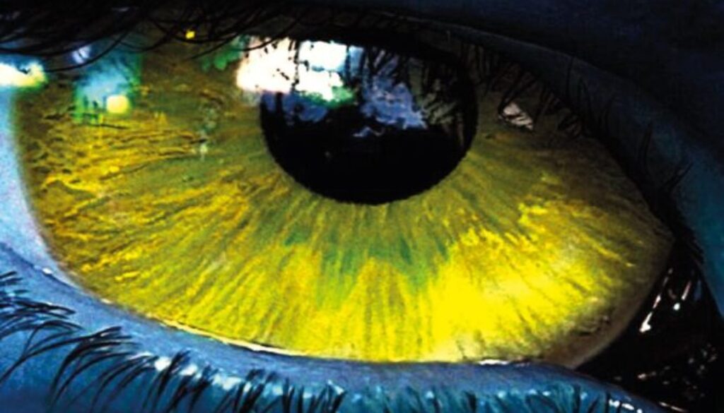 Ecovisioni – L’ecologia al cinema dai fratelli Lumiere alla Marvel