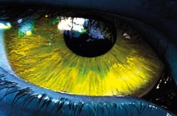 Ecovisioni – L’ecologia al cinema dai fratelli Lumiere alla Marvel