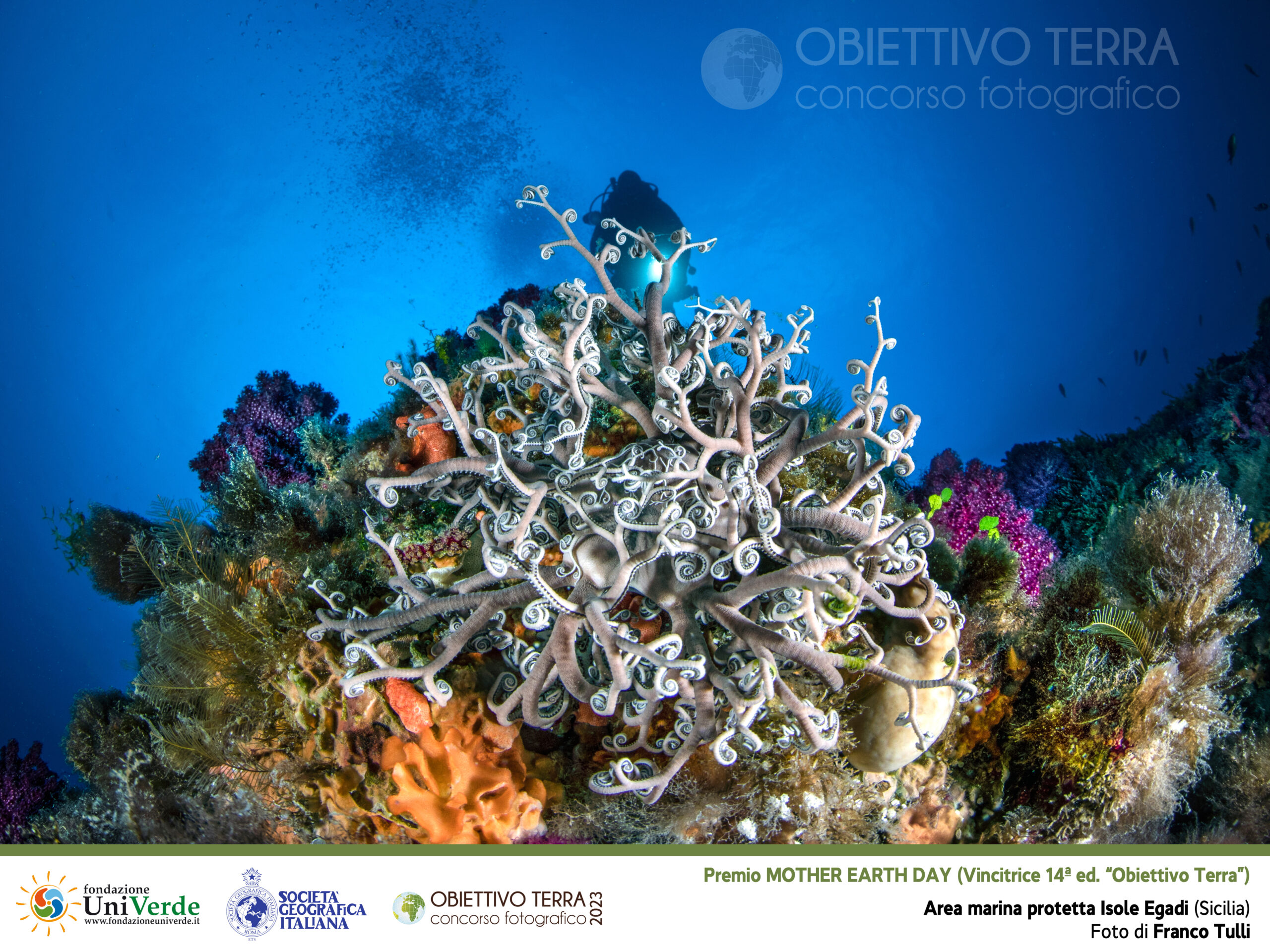 obiettivo terra 2023 tulli (1° premio mother earth day vincitrice ot2023)