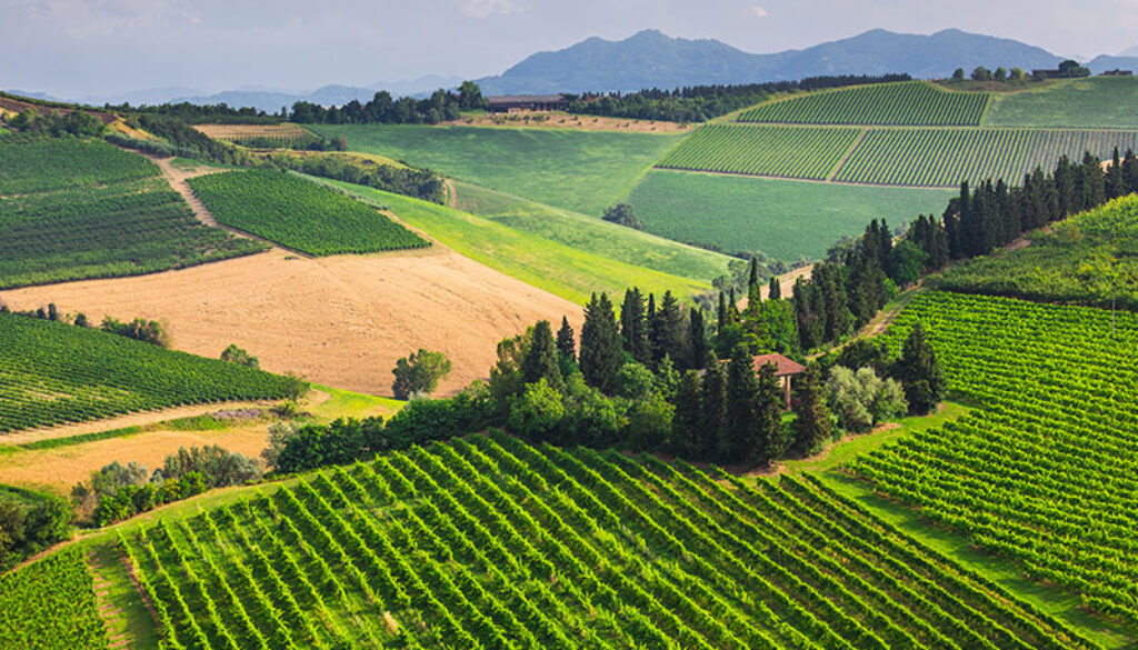chianti colline