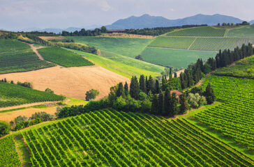 chianti colline