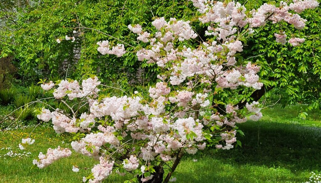 Giardino di Ninfa nel Lazio