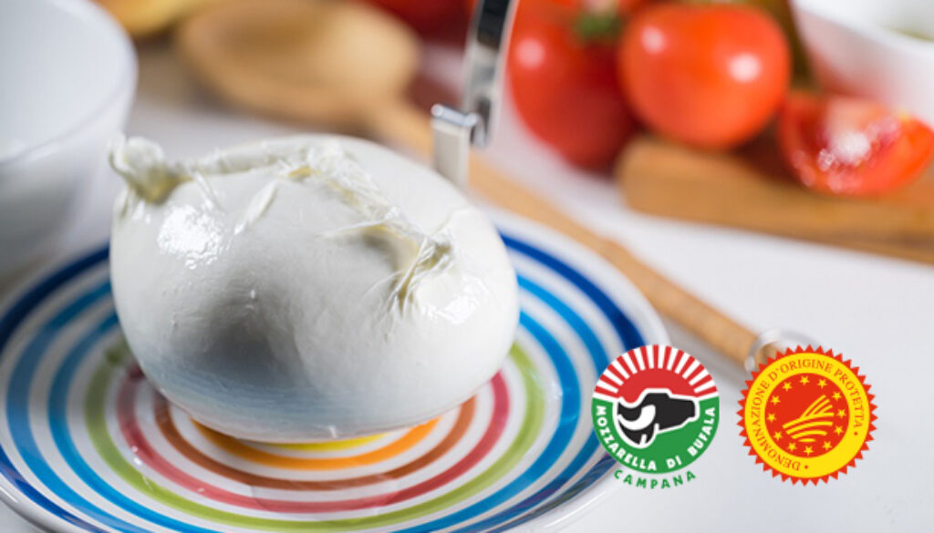 mozzarella di bufala 1