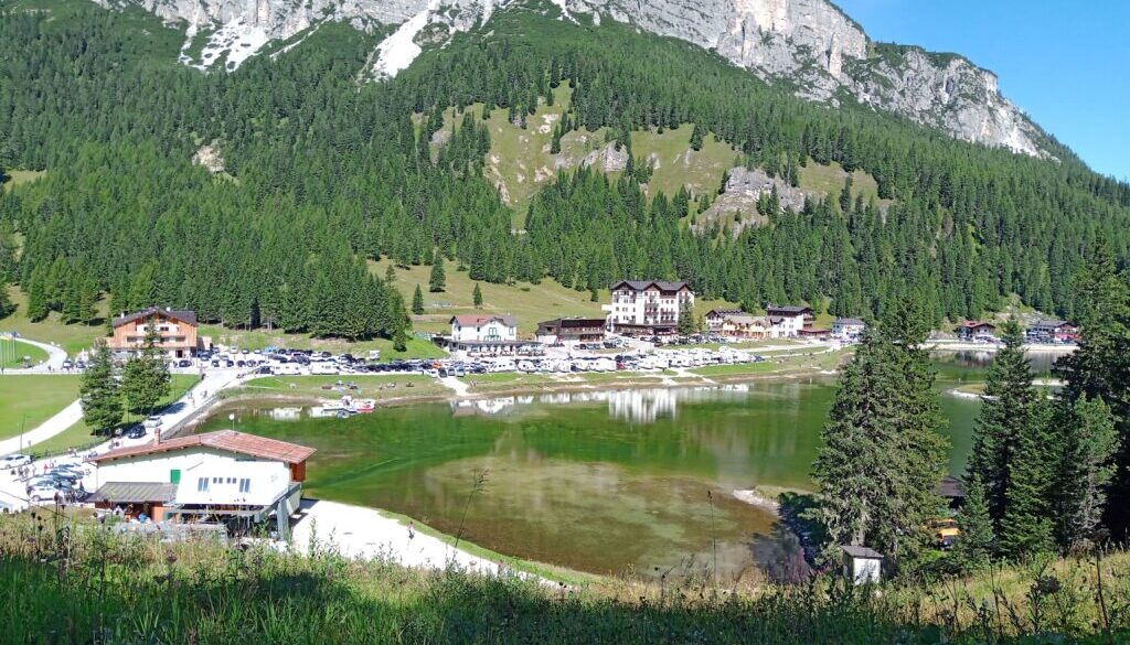 CNR: le foreste sono un toccasana per l’asma