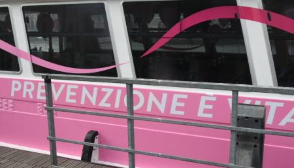Ottobre Rosa a Venezia