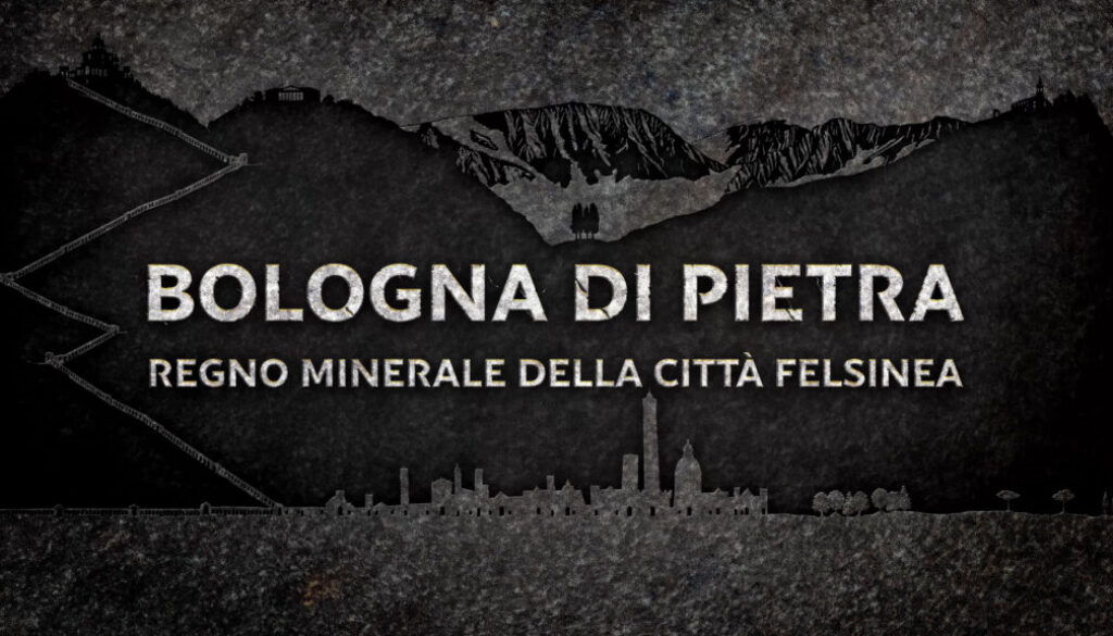 1 bologna di pietra regno minerale della citta felsinea