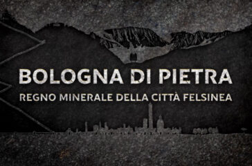 1 bologna di pietra regno minerale della citta felsinea