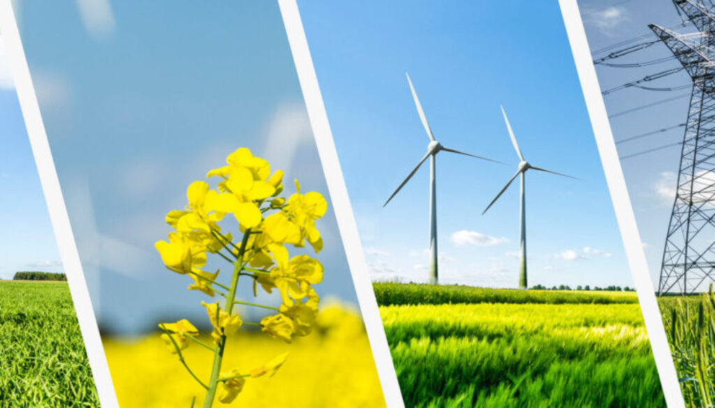 Transizione energetica e debito pubblico