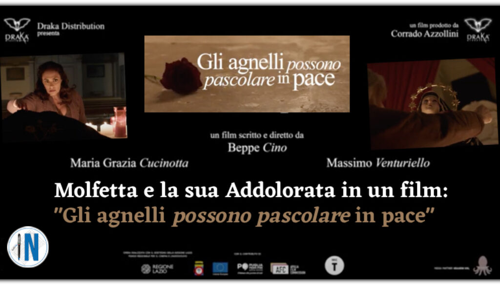 Gli agnelli possono pascolare in pace