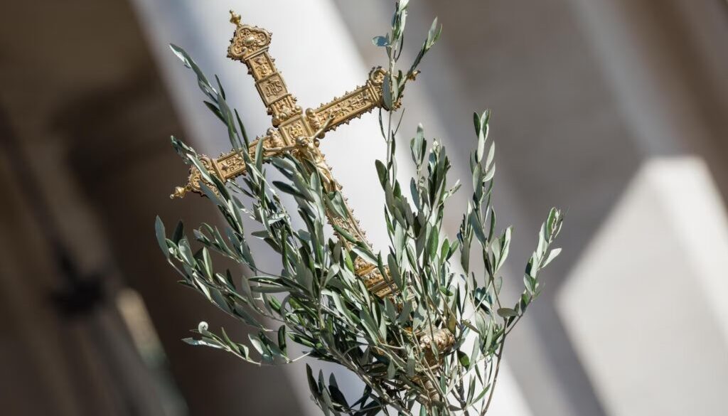 Domenica delle Palme
