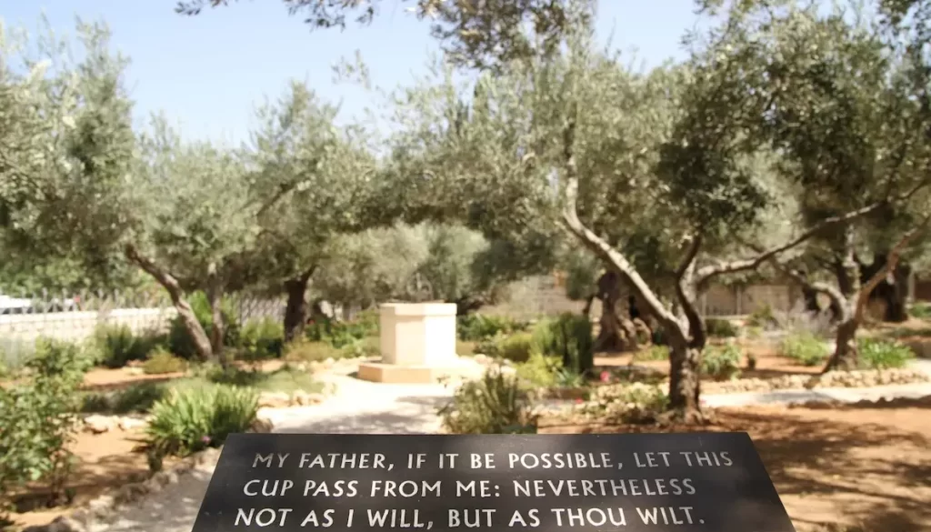 I versi internazionali di Marje Dolores