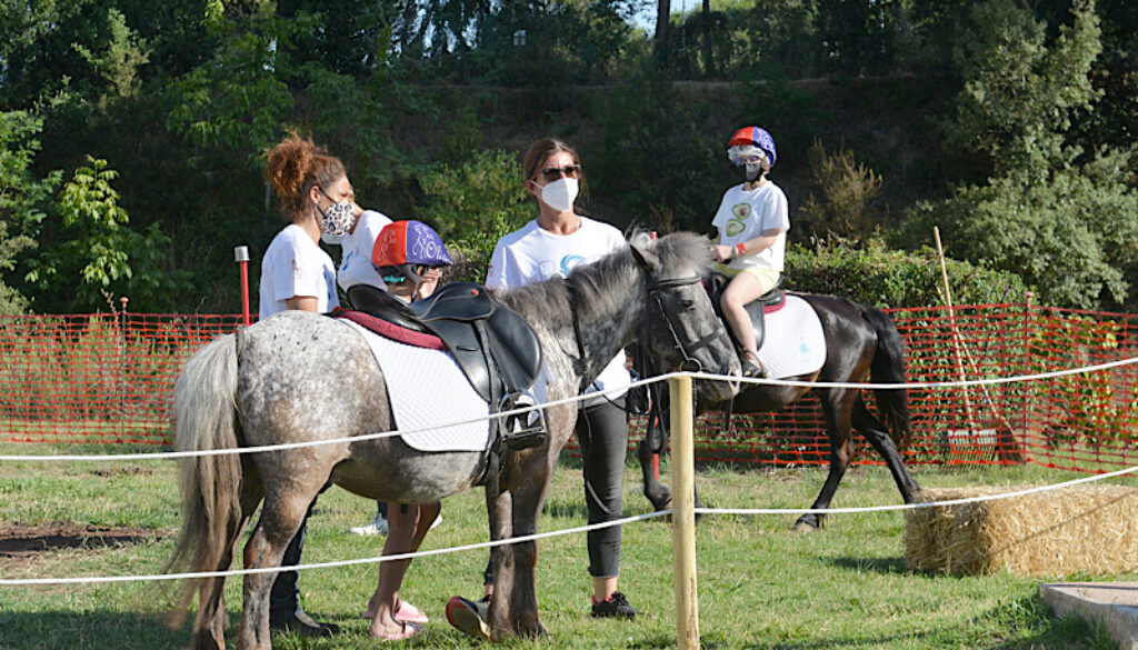 POP-Pony&Oncologia