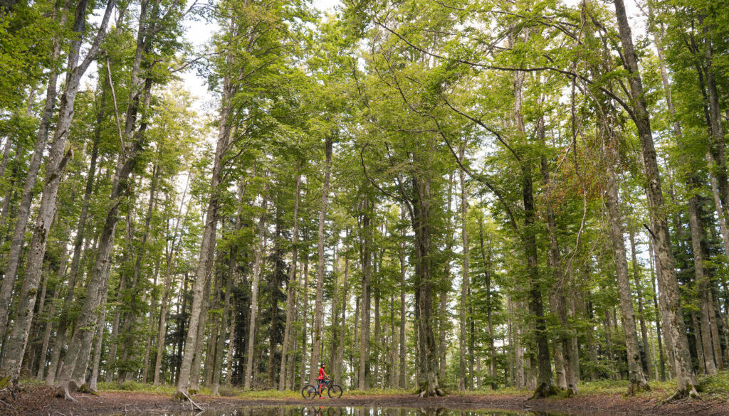 Adventure Outdoor Fest e Forest Edition