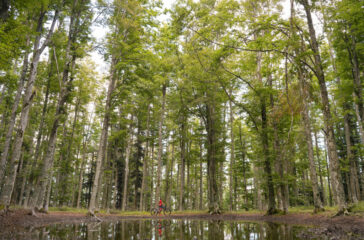 Adventure Outdoor Fest e Forest Edition