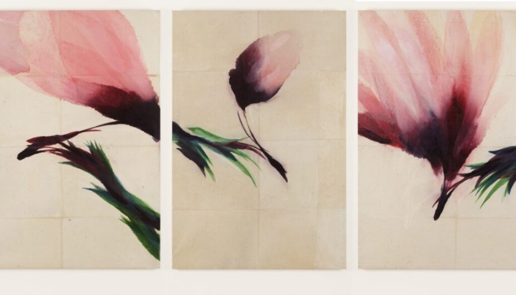 Le esposizioni di Fondazione Palazzo Magnani