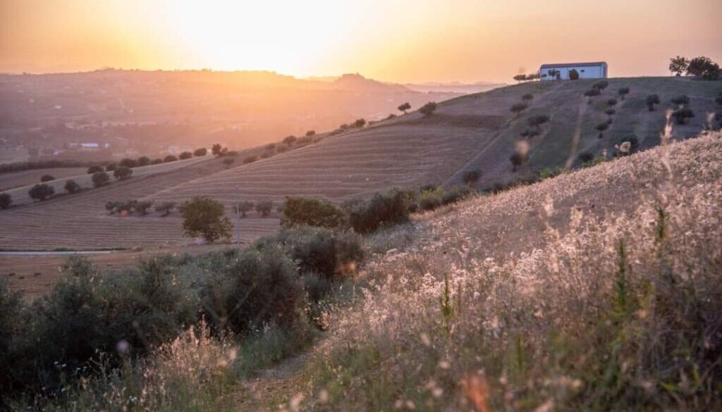 Olea et labora