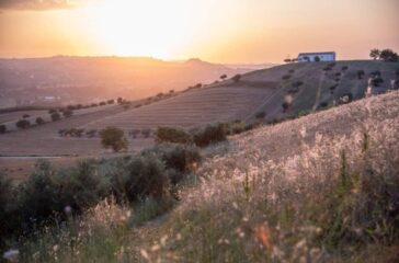 Olea et labora