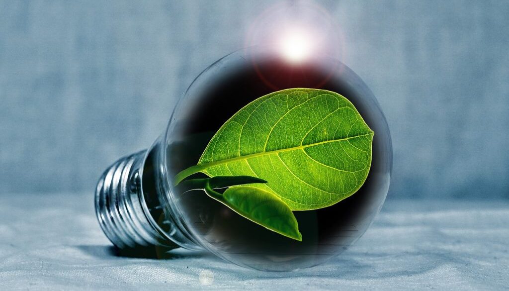 L’Italia e il carbon neutral