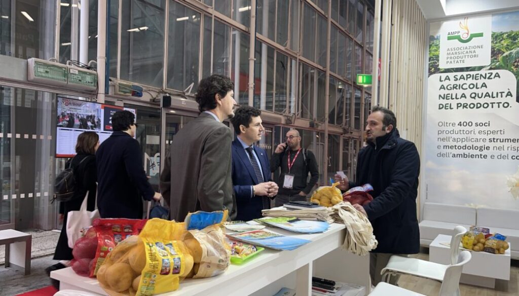 Patata del Fucino IGP al Marca