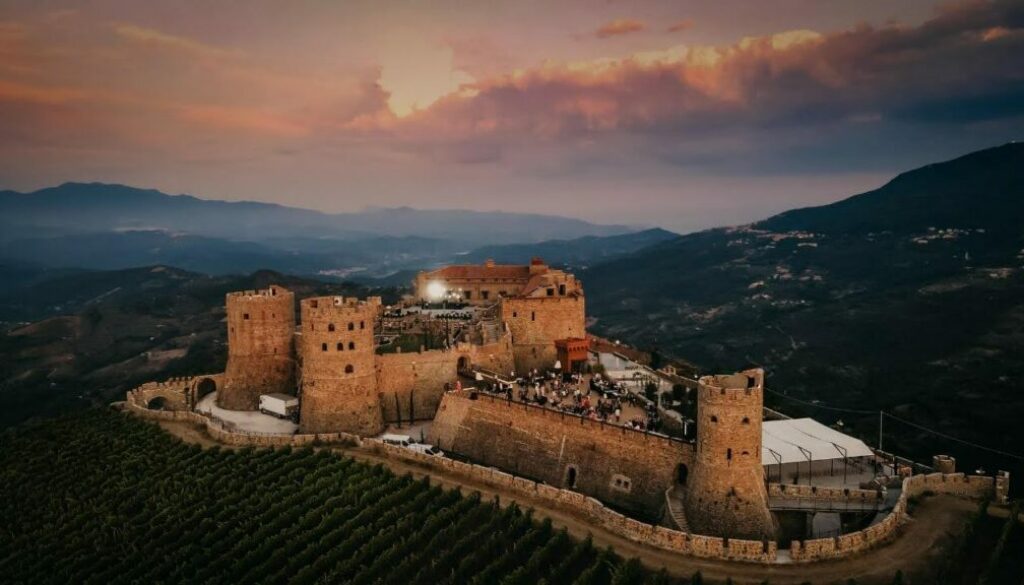 Torna OlivitalyMed