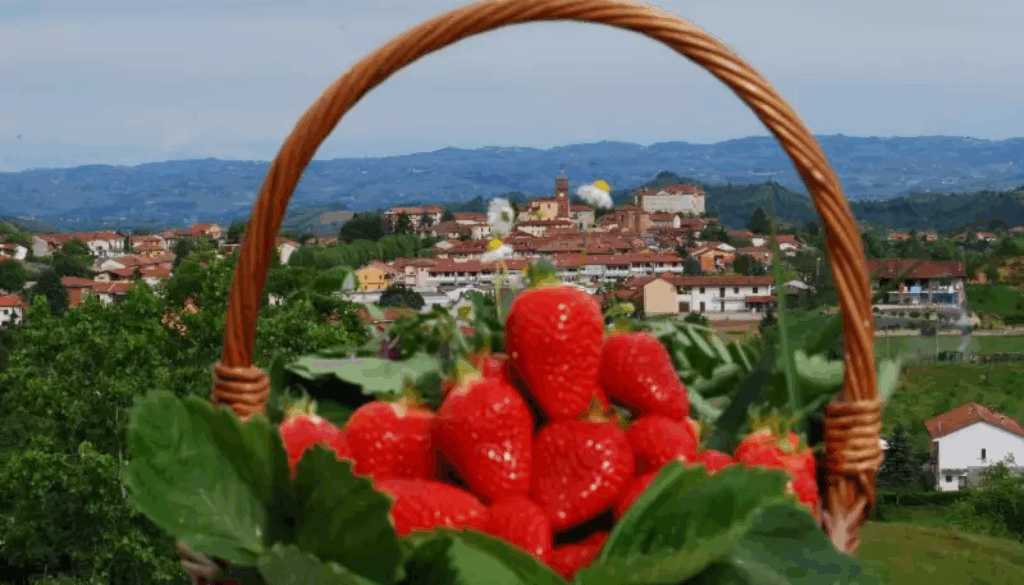 Fiera della Fragola