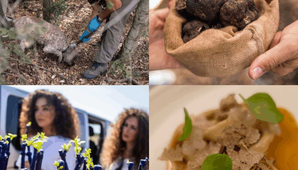 Giurdignano Fest e la Tartufo Experience