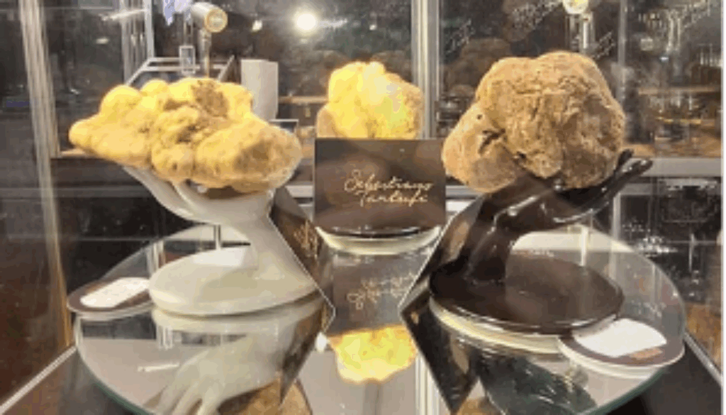 La fiera mondiale del Tartufo Bianco d’Alba